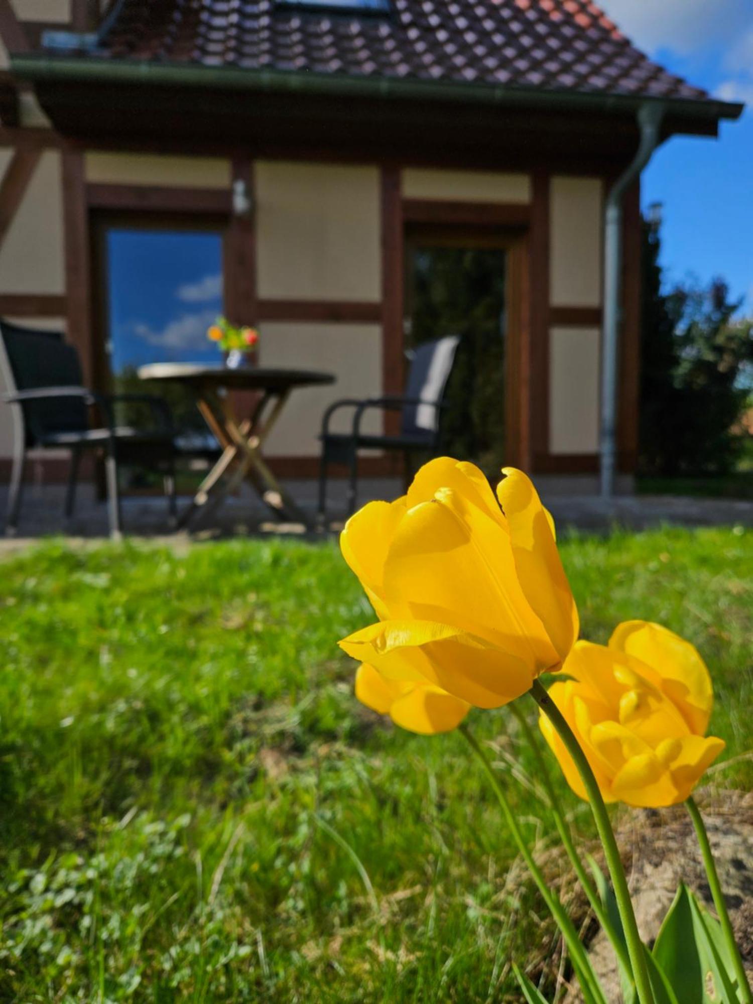 Ferienwohnung Peetsch Am See Mirow Zewnętrze zdjęcie