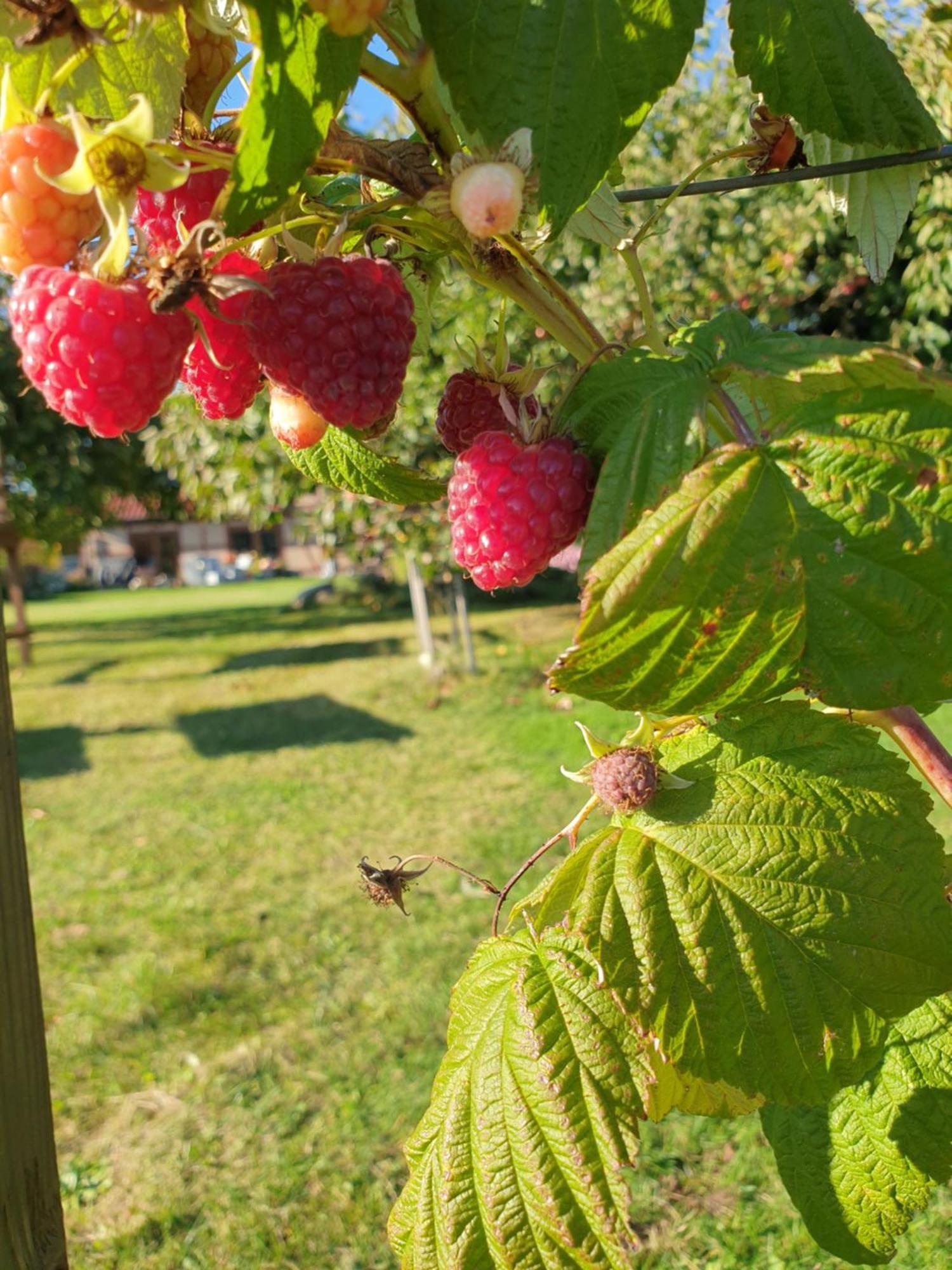 Ferienwohnung Peetsch Am See Mirow Zewnętrze zdjęcie